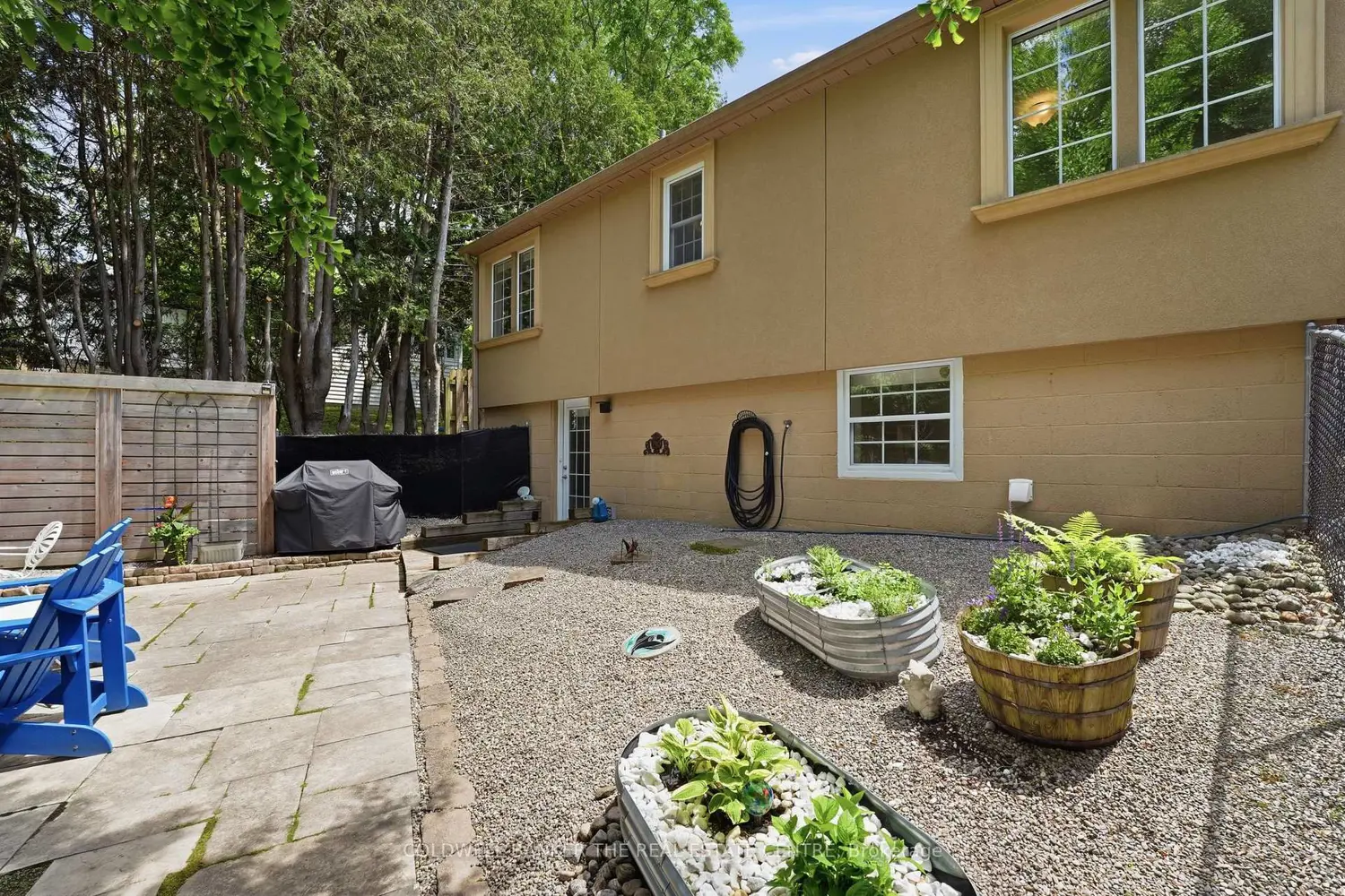 519 College Street photo 4