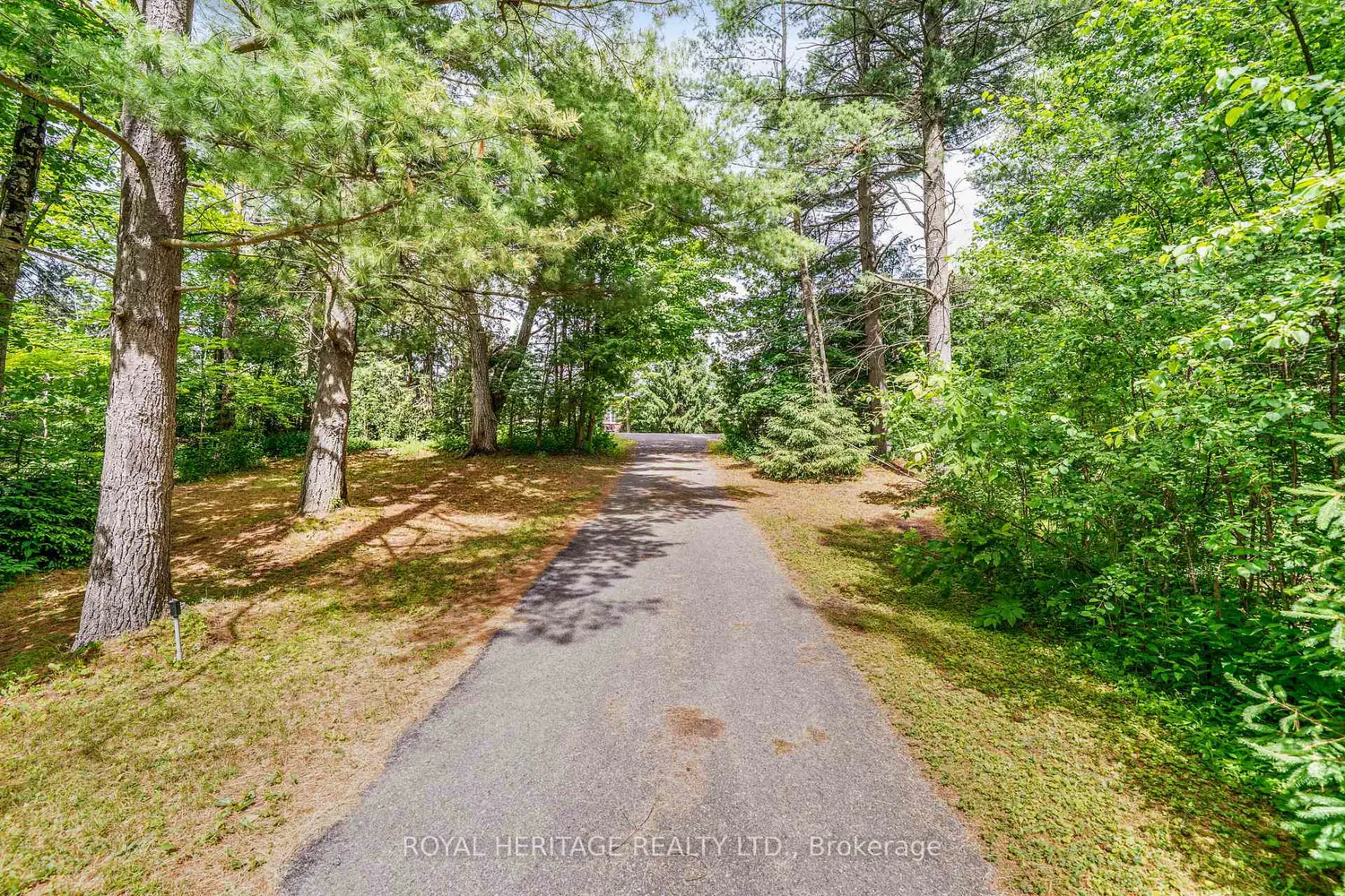 5260 Coronation Road photo 2