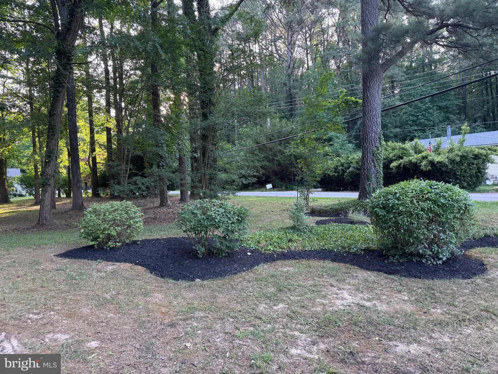 329 Chestnut Drive, Lusby, MD 20657 photo 5