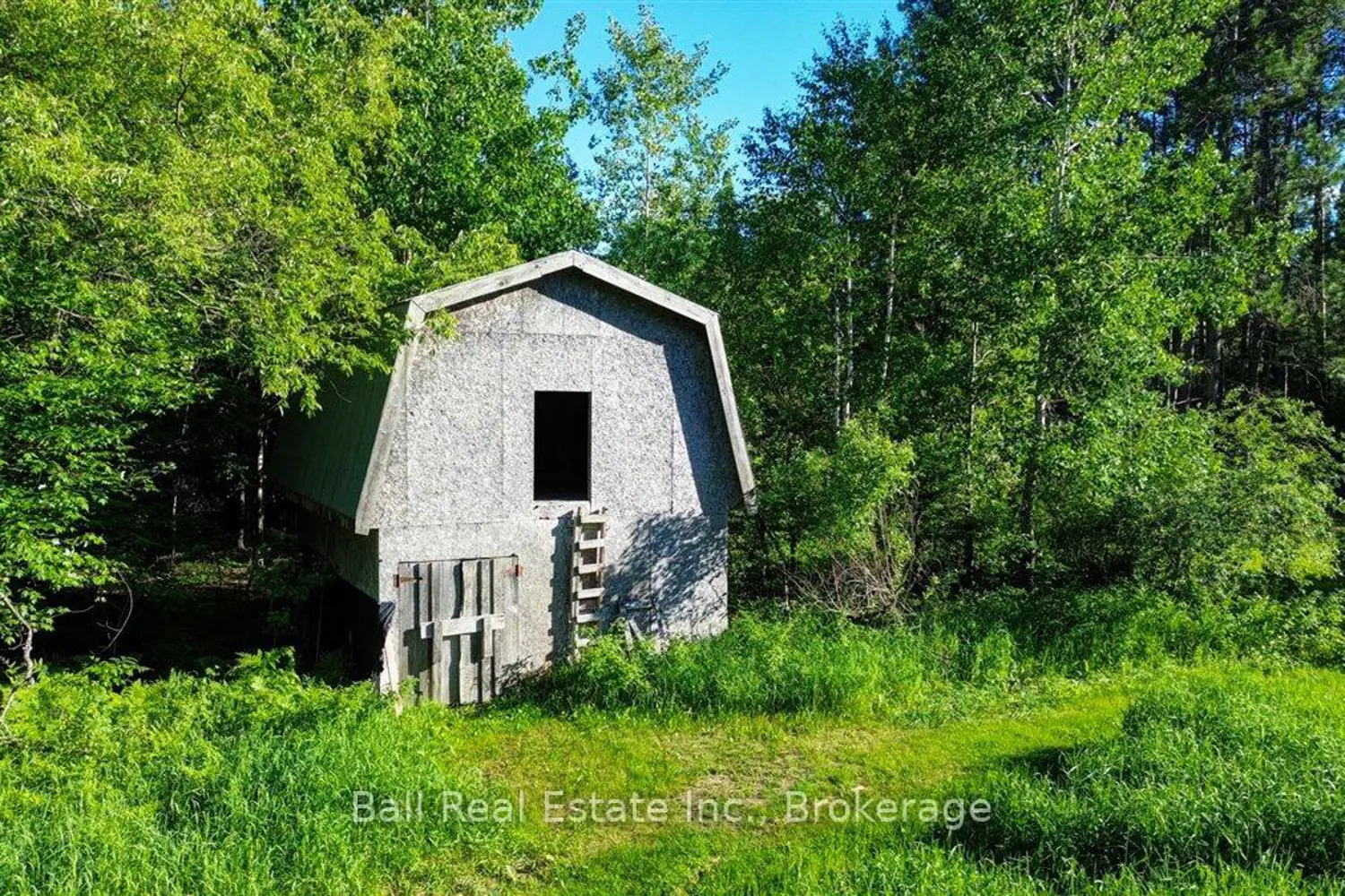 82 East Road photo 4