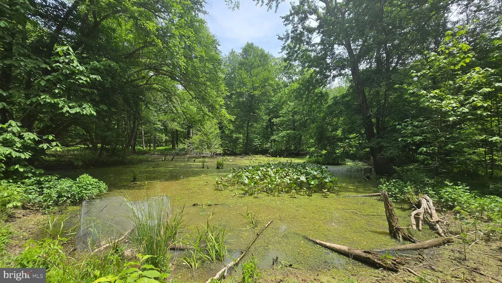 2025 Lower Marlboro Road, Owings, MD 20736