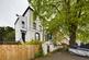 Ash Grove, London photo 2