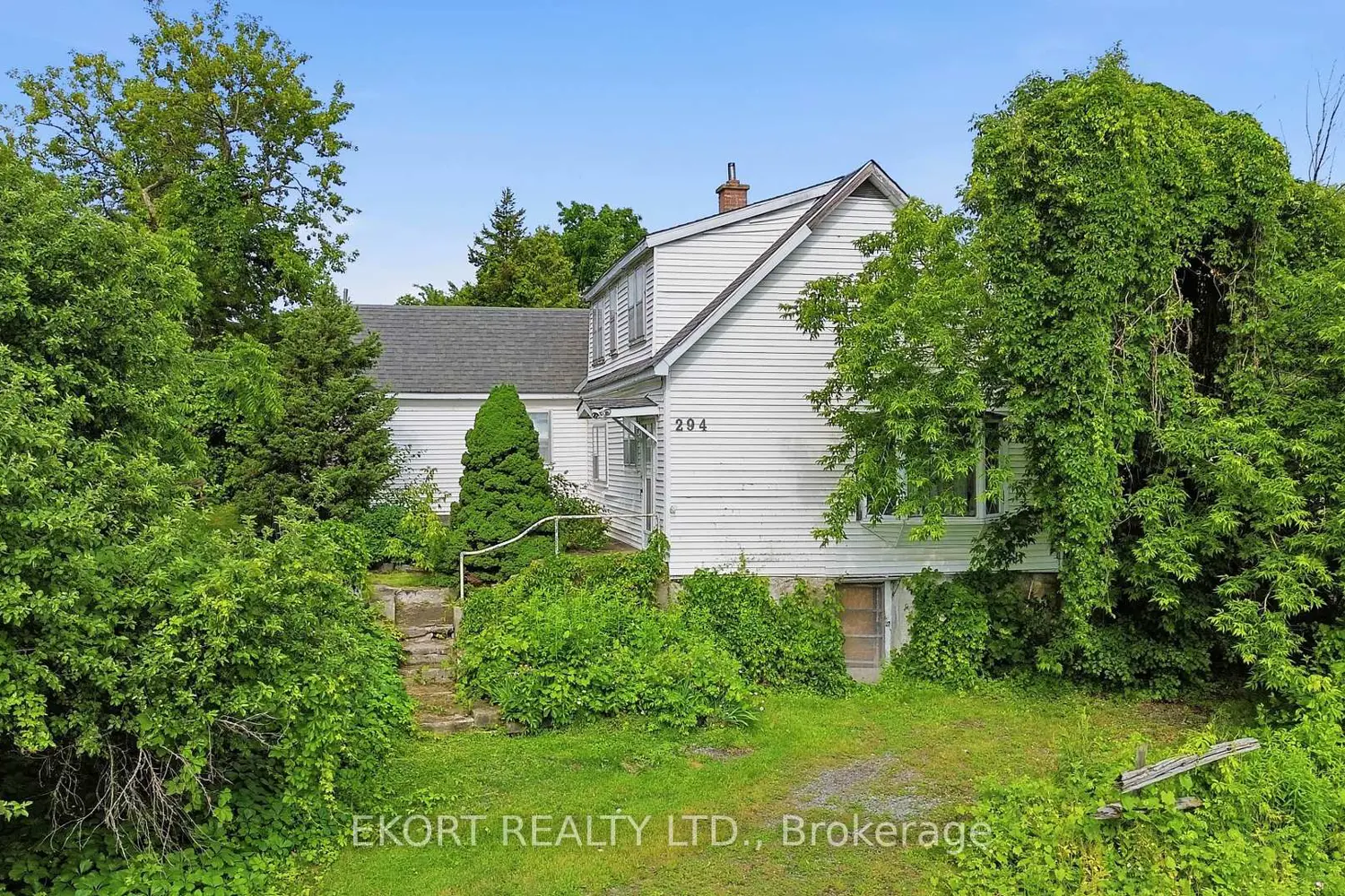 294 Moira Street photo 3