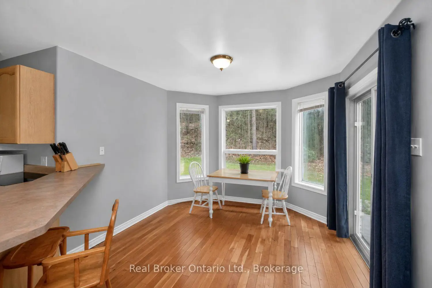 11 Campbell Court photo 5