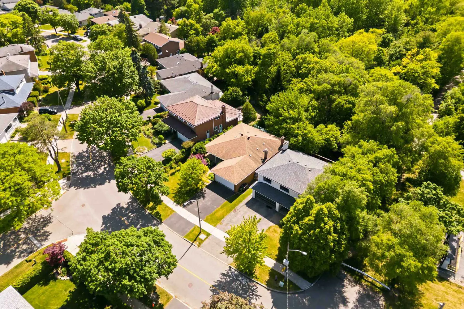 42 Pineway Boulevard