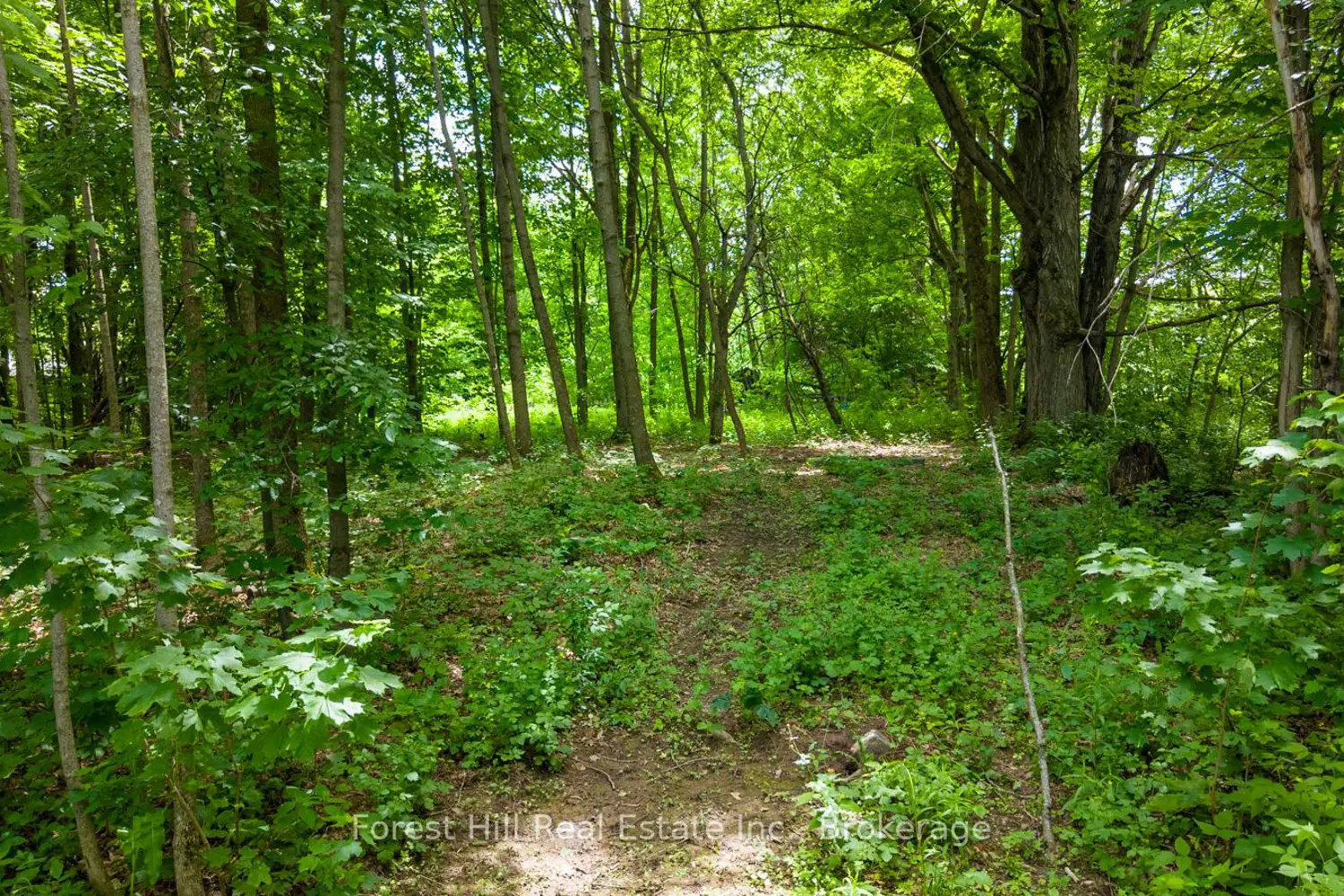 154 Bowles Bluff Road photo 5