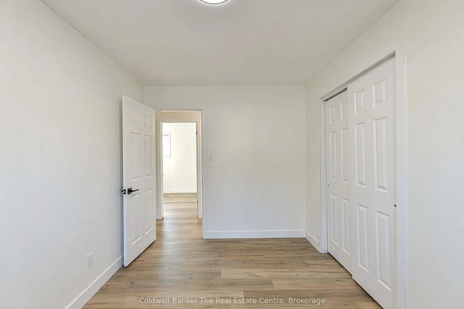 355 Louise Street photo 5