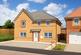 Maidstone at The Meadows Azalea Lane, Witham St Hughs, Lincoln LN6