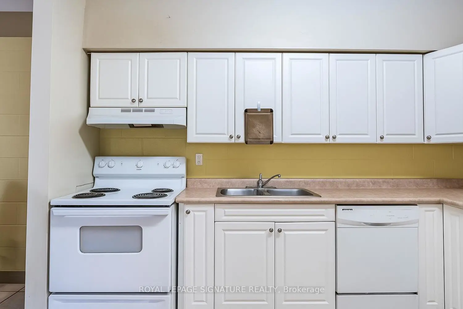 251 Lester Street 206 photo 5