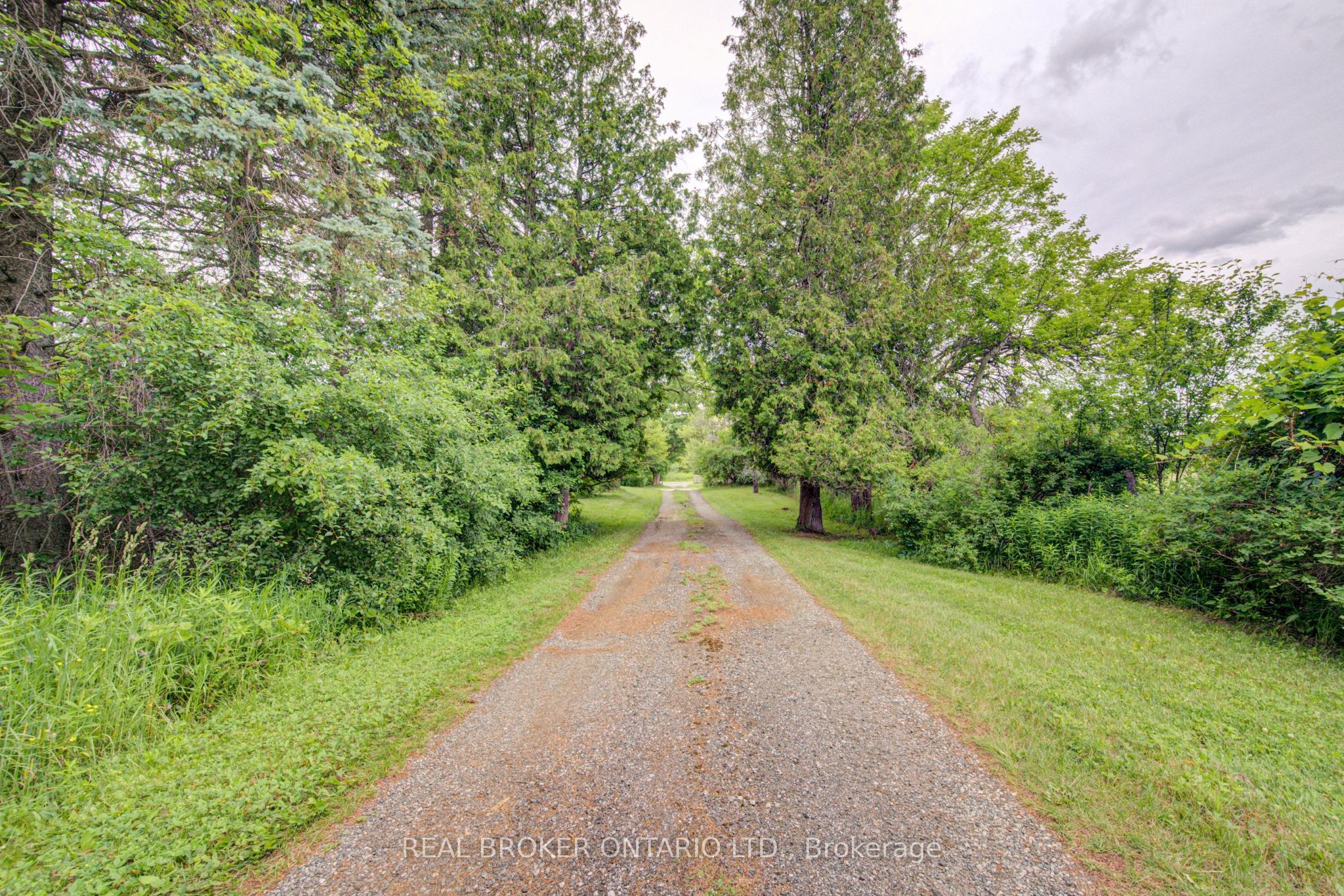 1032 Gore Road, Hamilton, ON, N0B 2J0 photo 4