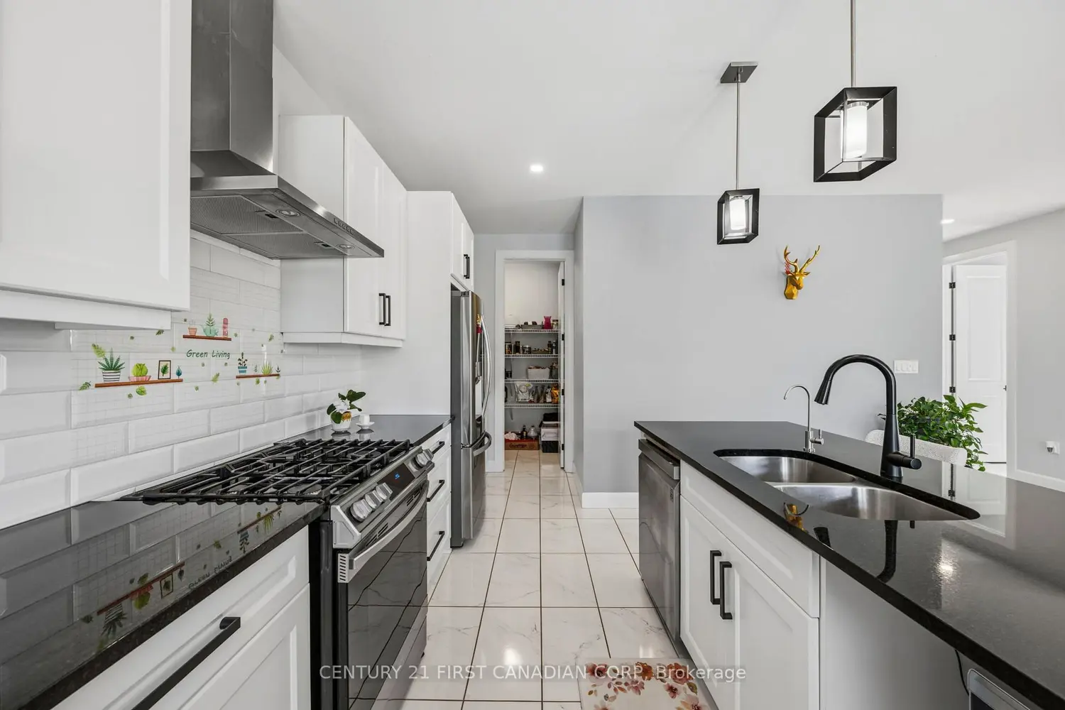 1298 Sandbar Street photo 3
