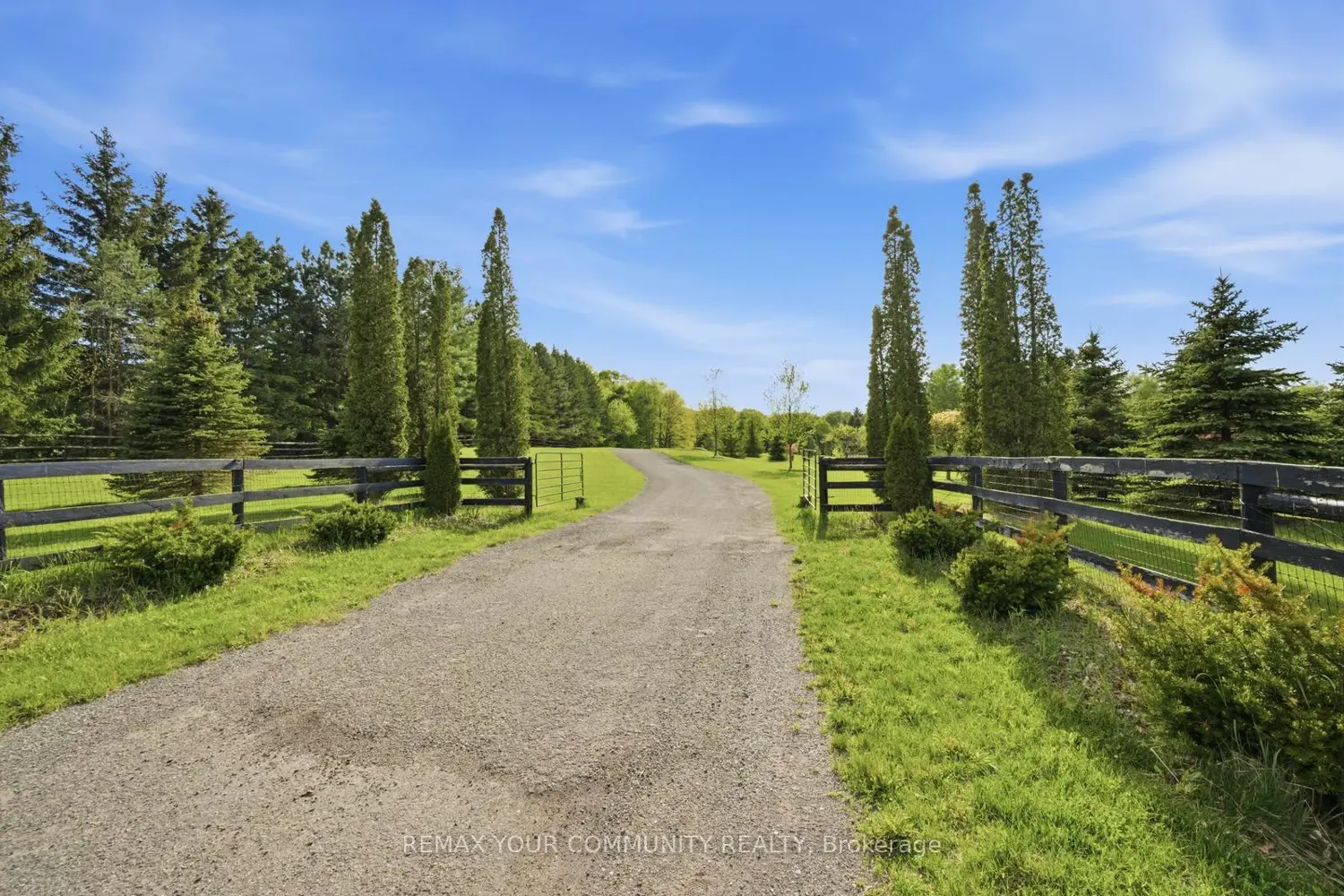 16902 Mccowan Road photo 3