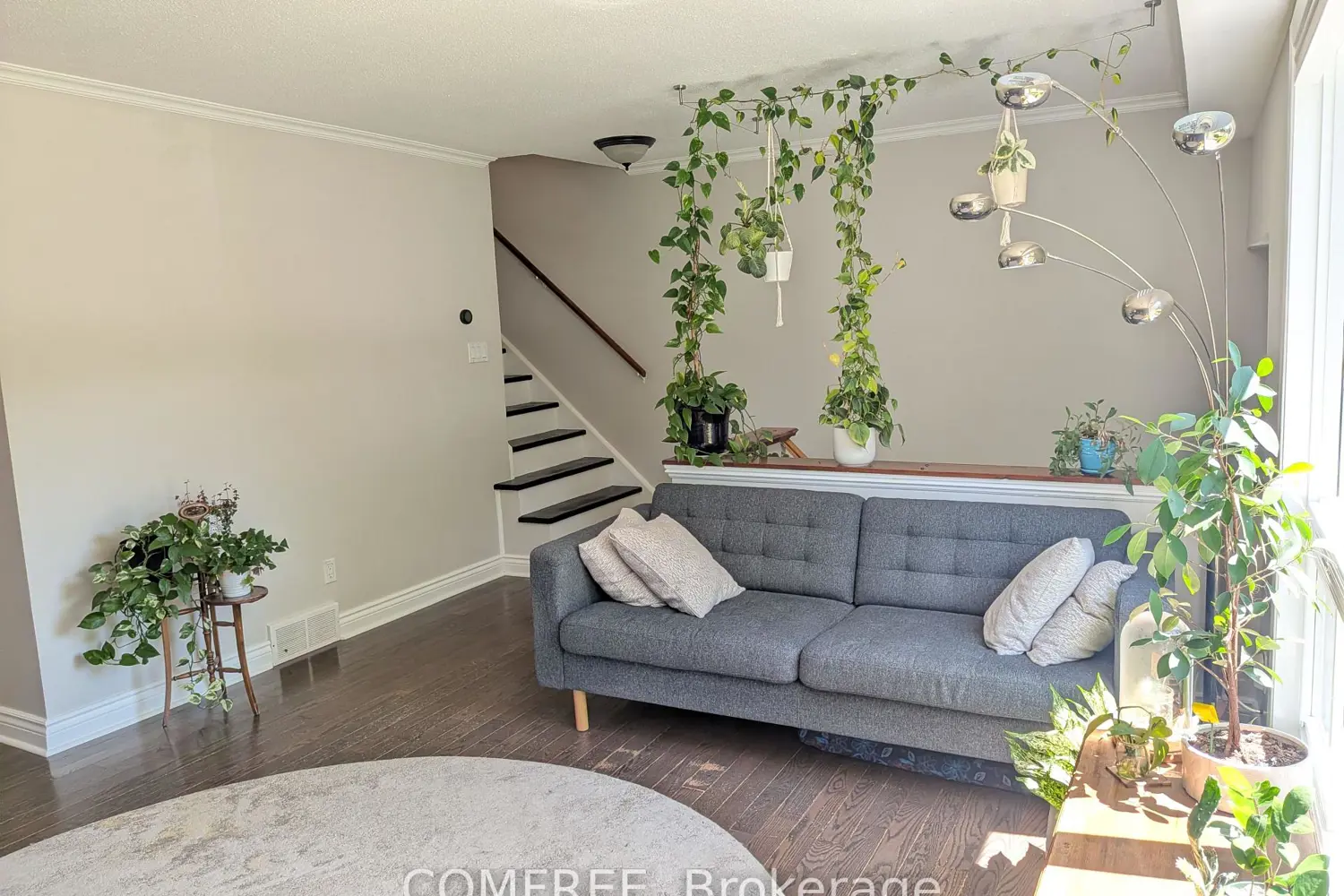 8B Forester Crescent photo 4