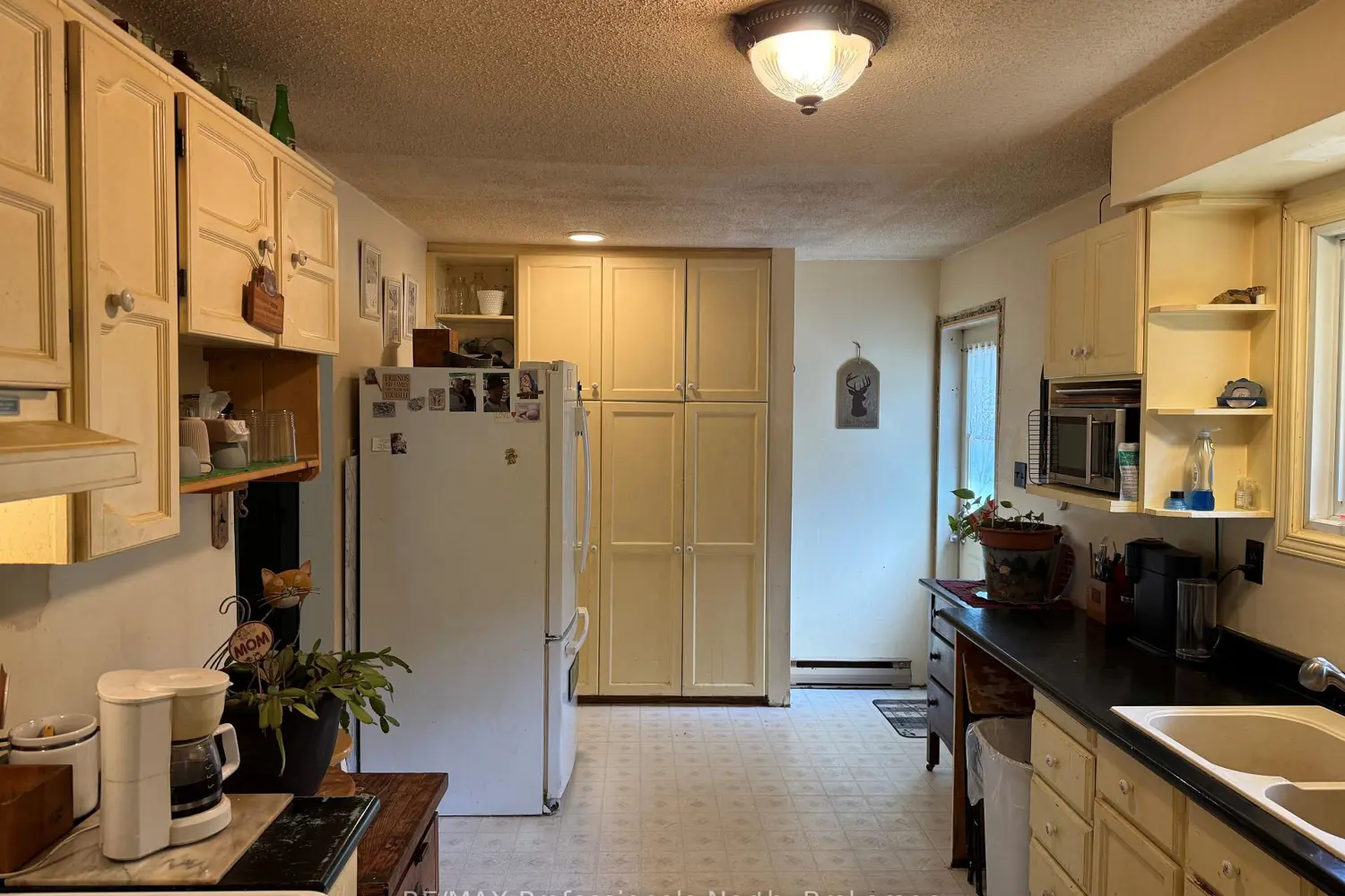 37 Spruce Drive photo 5