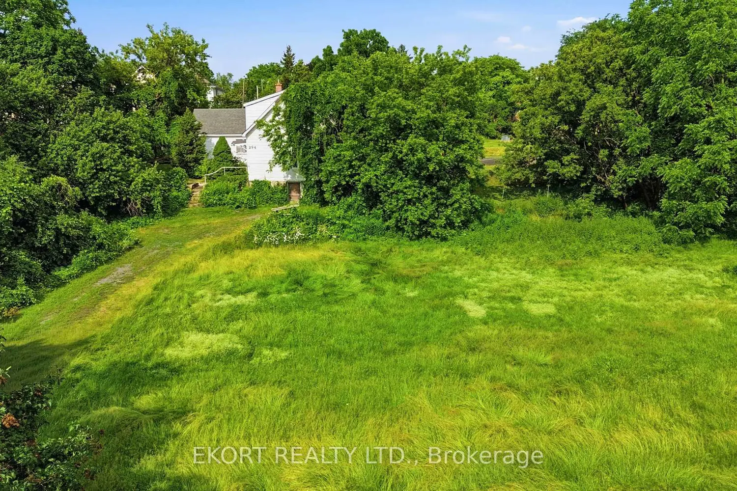 294 Moira Street photo 4