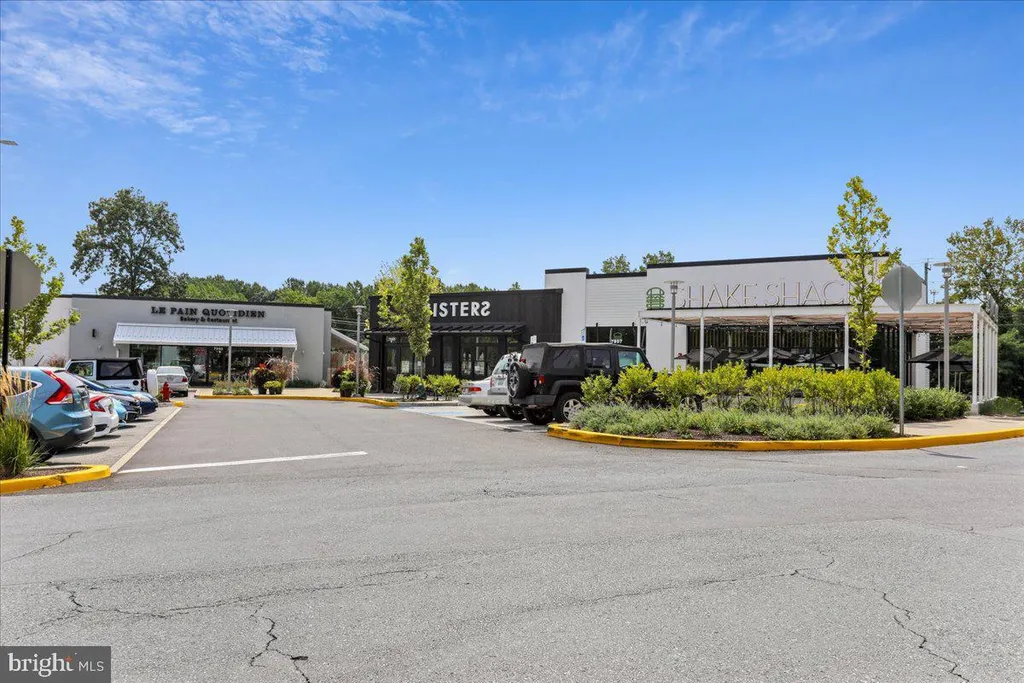 8607 Wild Olive Drive, Potomac, MD 20854