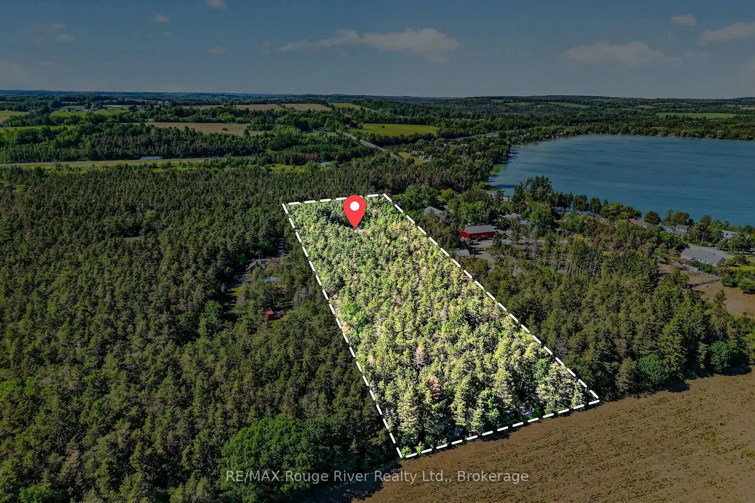 149 Pine Tree Lane photo 4