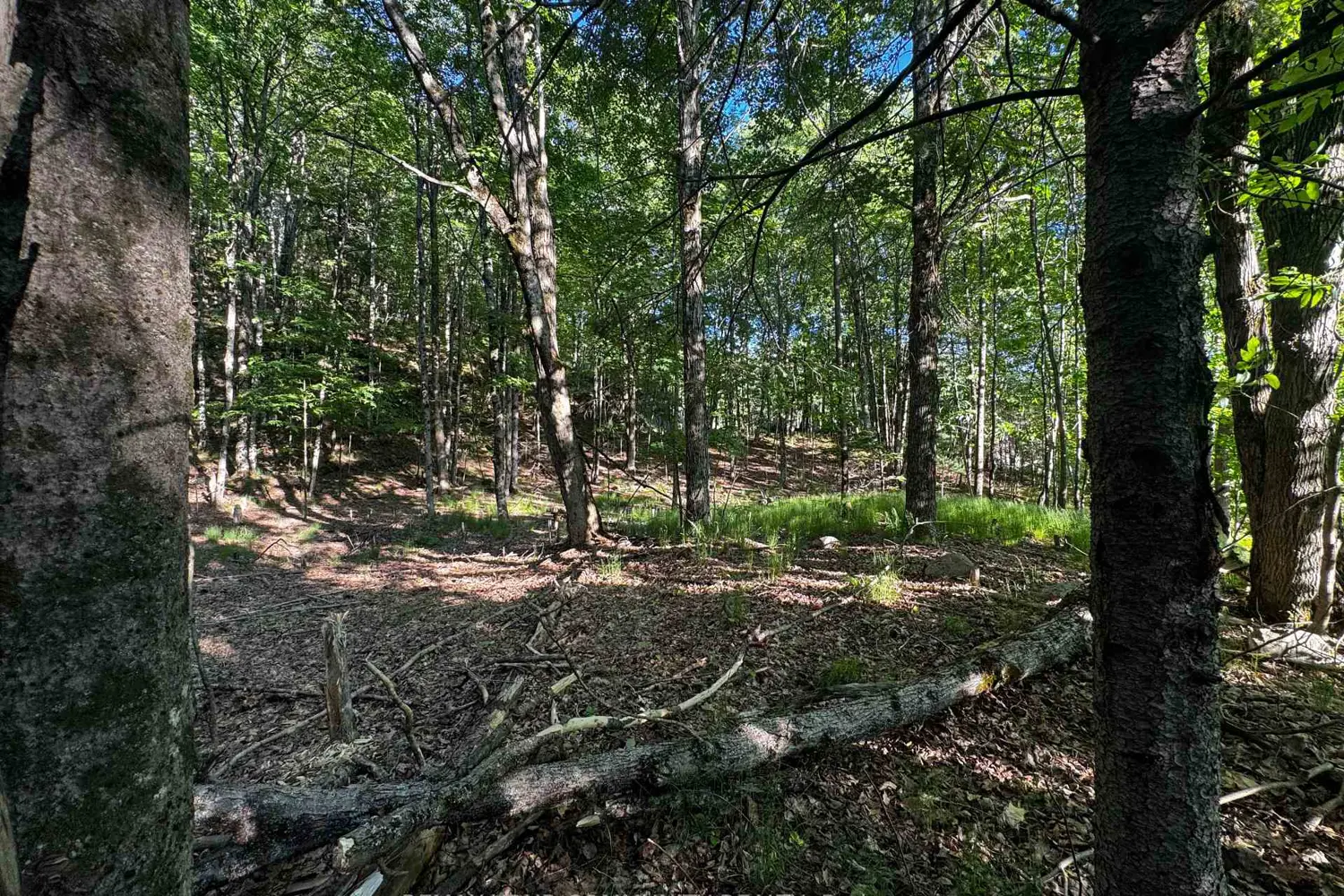 1025 Meadowview Road photo 5