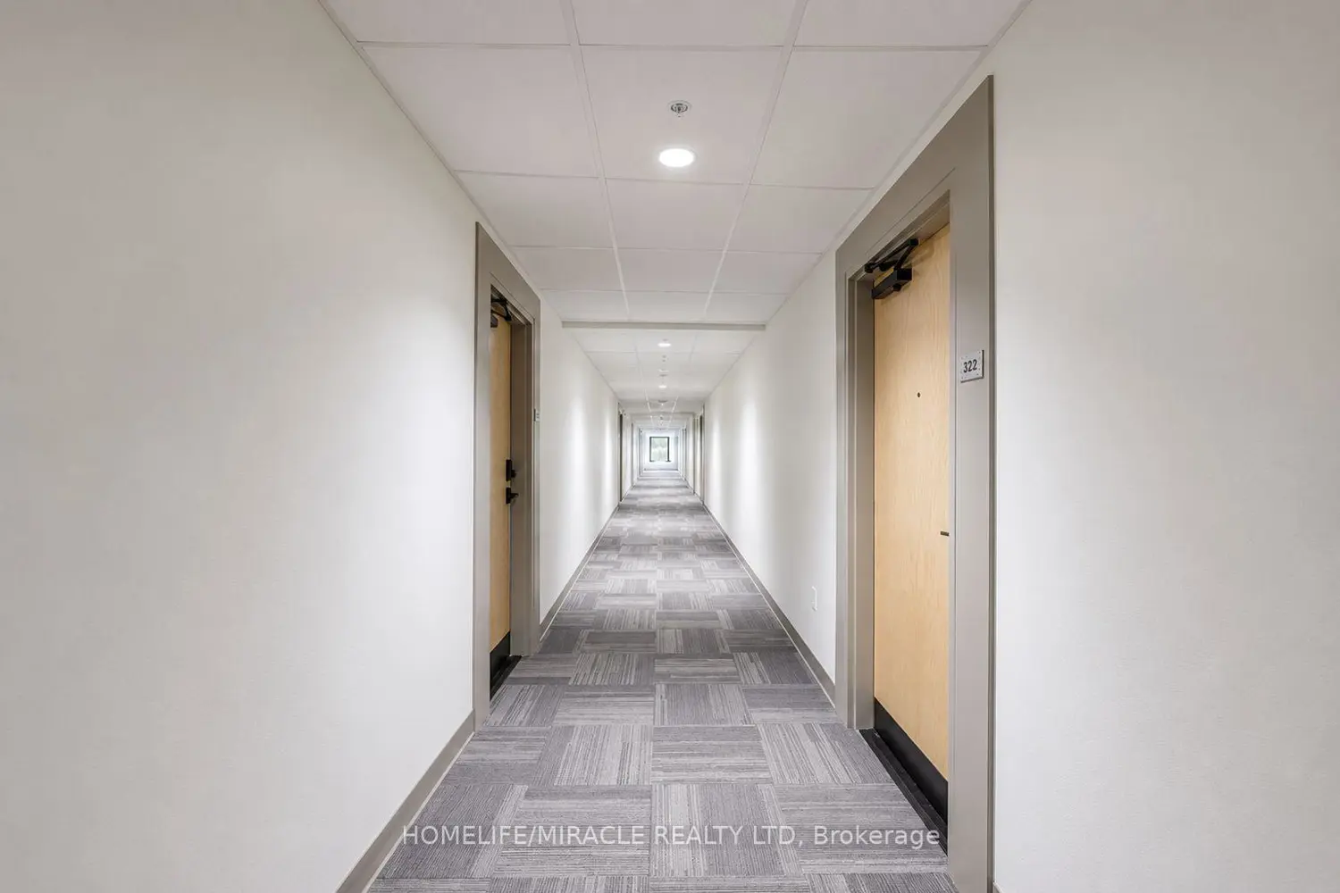 121 Mary Street 322 photo 3