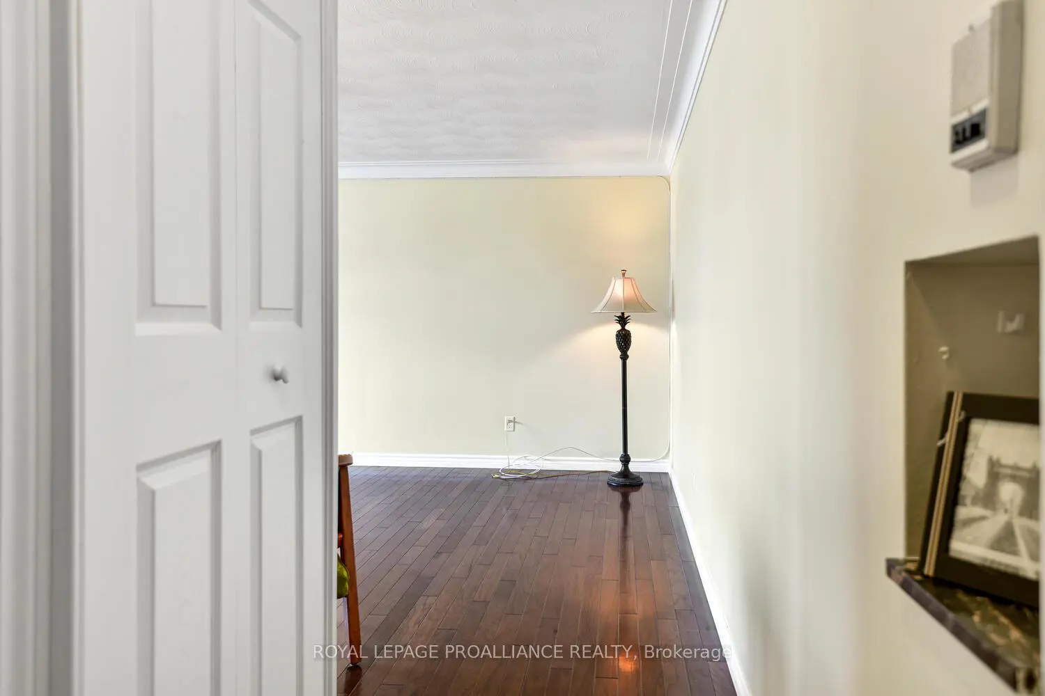 167 Pearl Street 11 photo 3