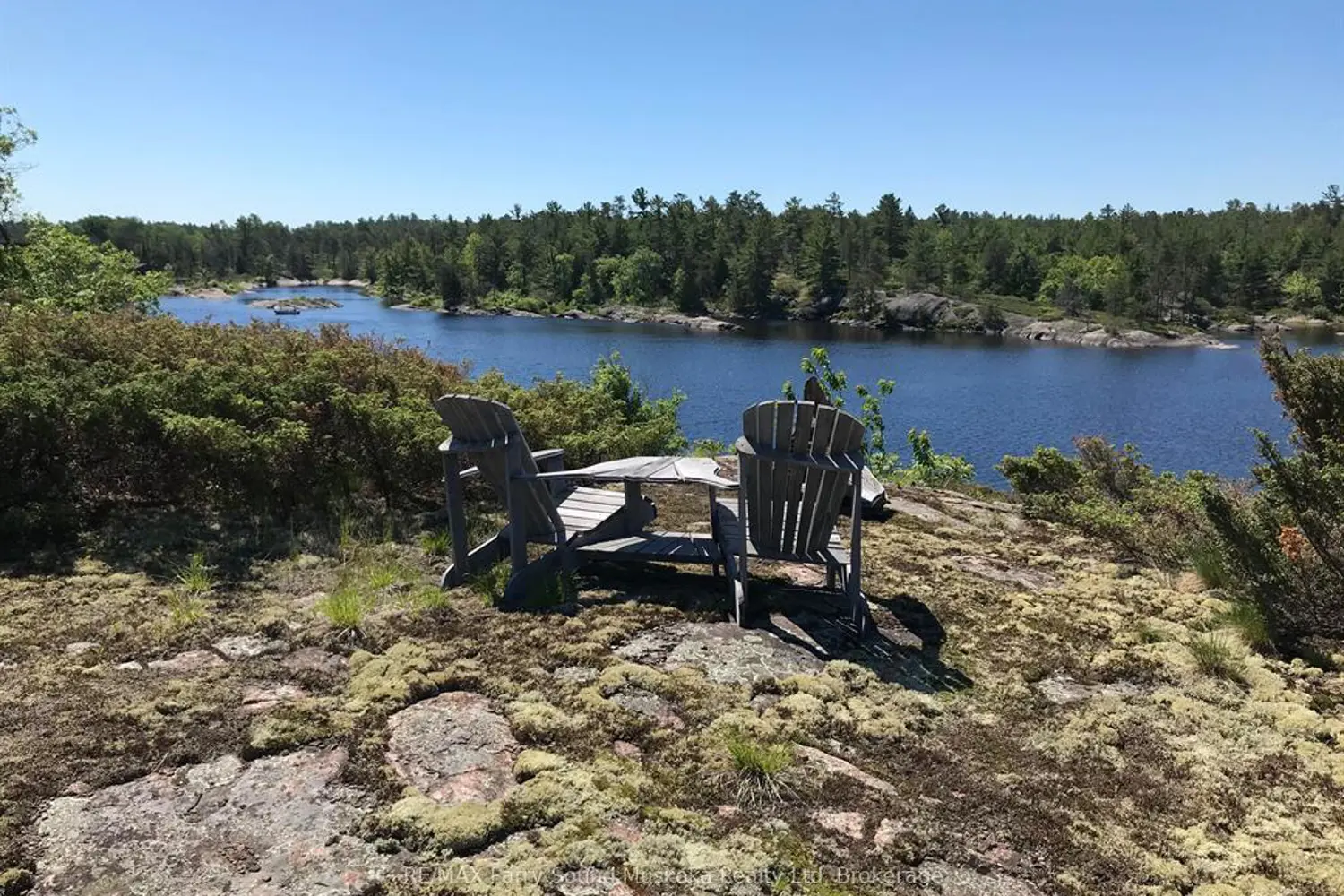 0 Pickerel River photo 5