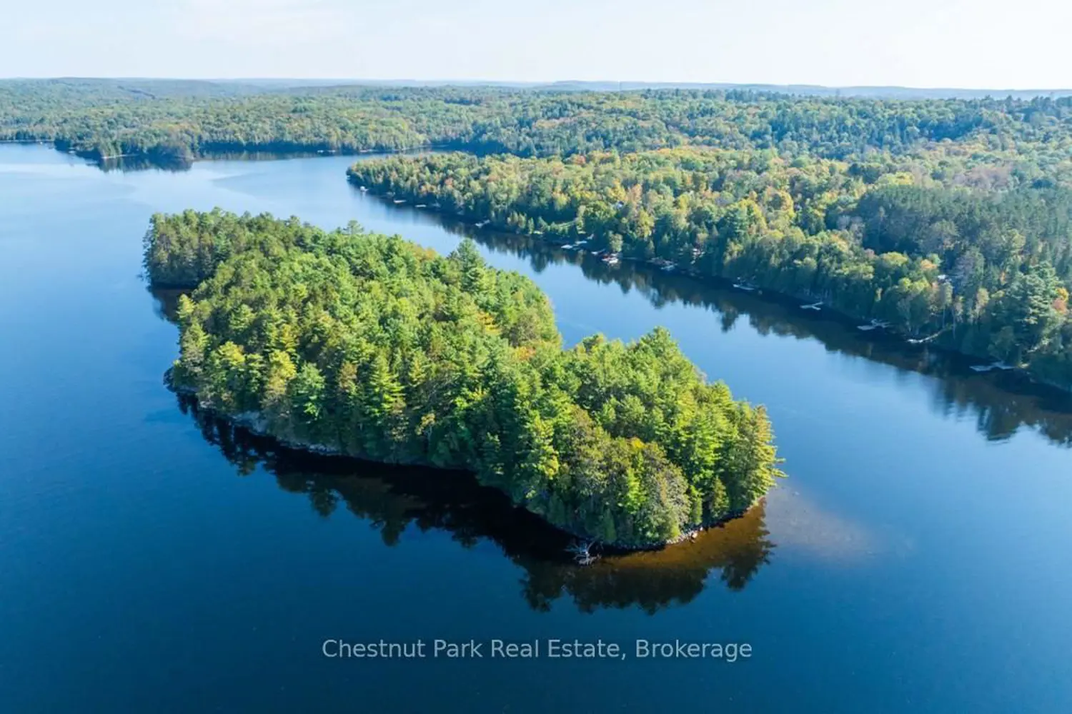 10000 Soyers - Brown Island