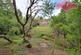 Ffordd Hengoed, Mold CH7 photo 2