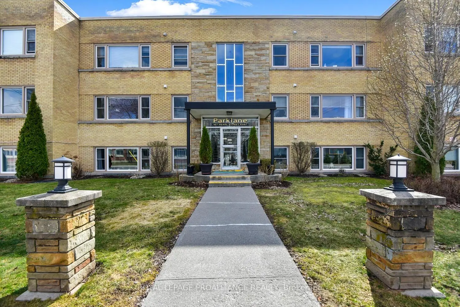 167 Pearl Street 11 photo 2