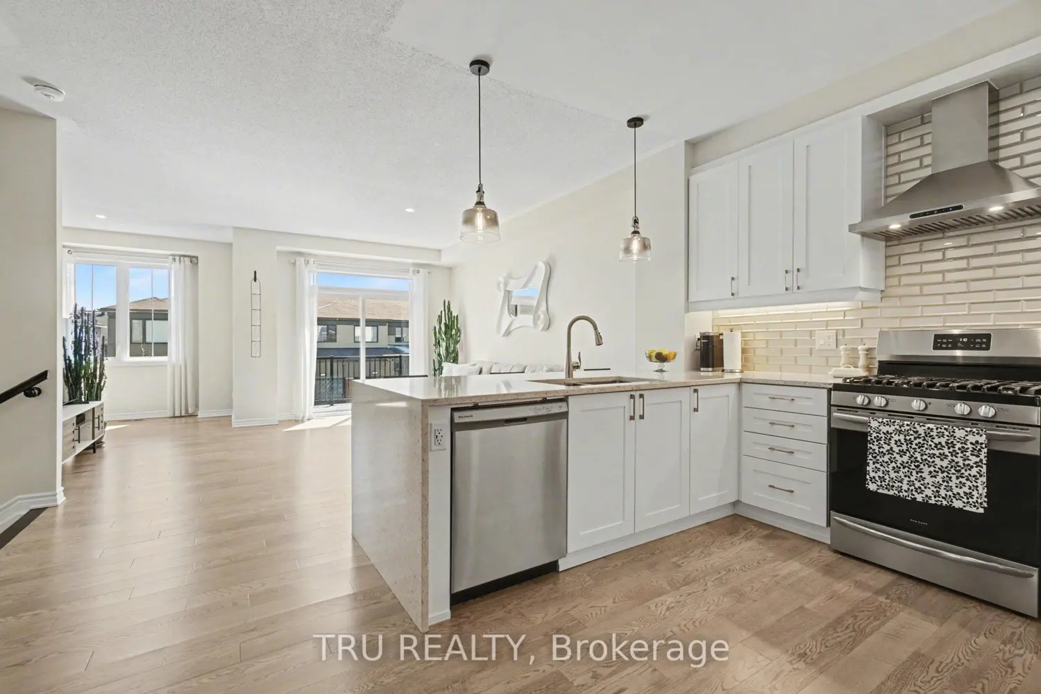 520 Rye Grass Way photo 5