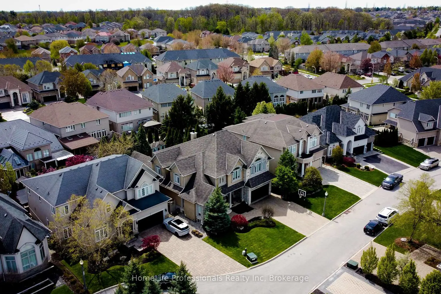 16 Berkshire Place photo 5