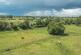 Impressive Period Residence with Extensive Grounds in Northwold photo 4