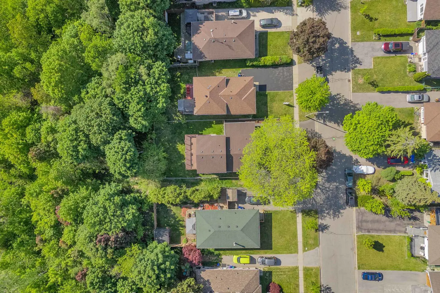 576 Annandale Street photo 4