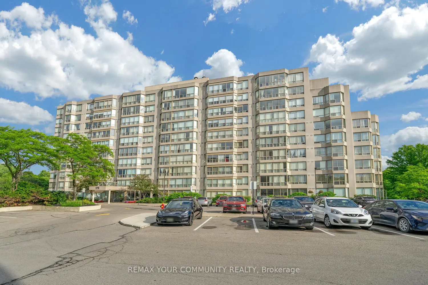 175 Cedar Avenue 913