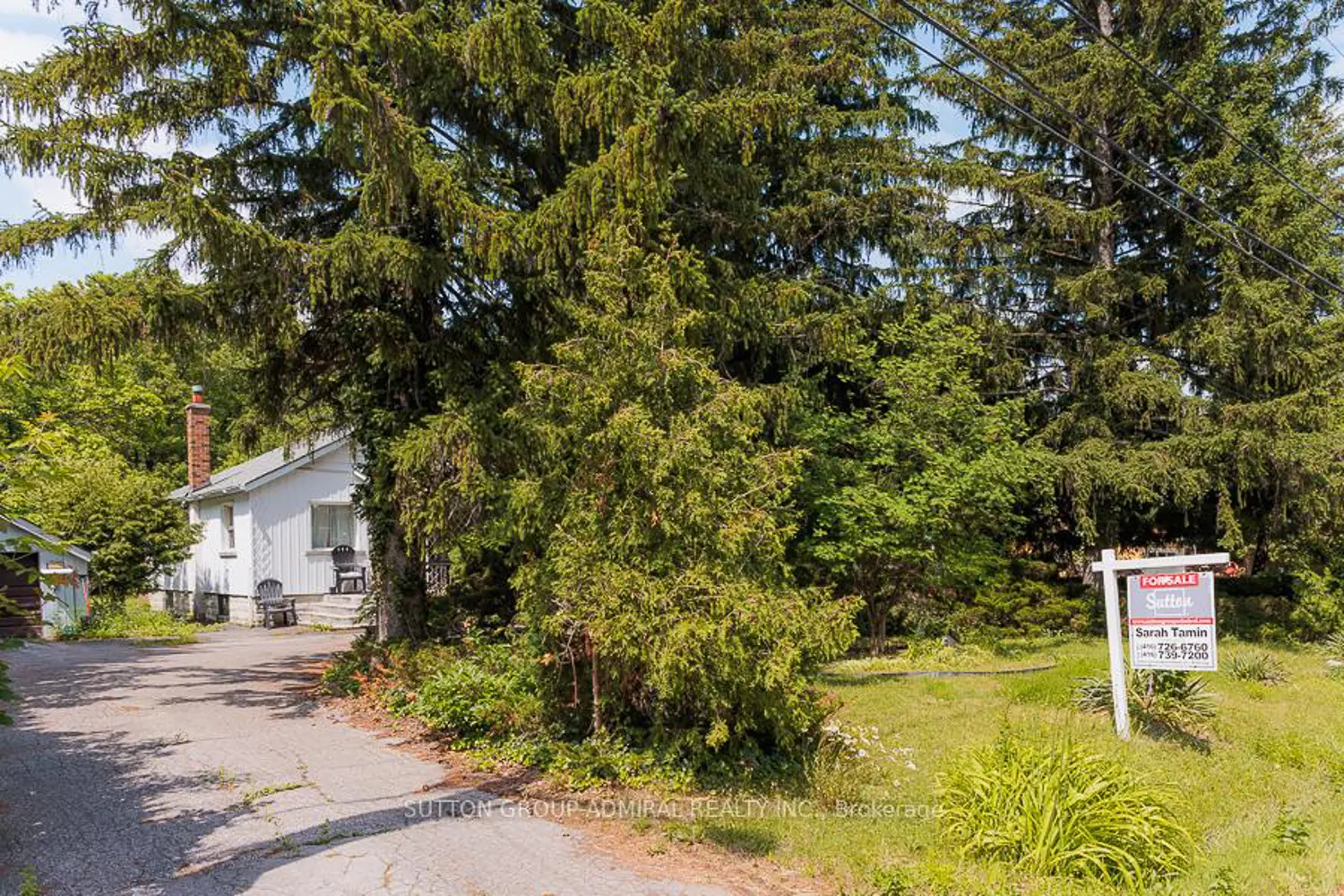 60 Arnold Avenue photo 4