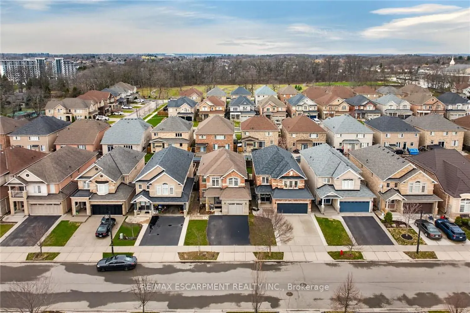 44 Matteo Trail