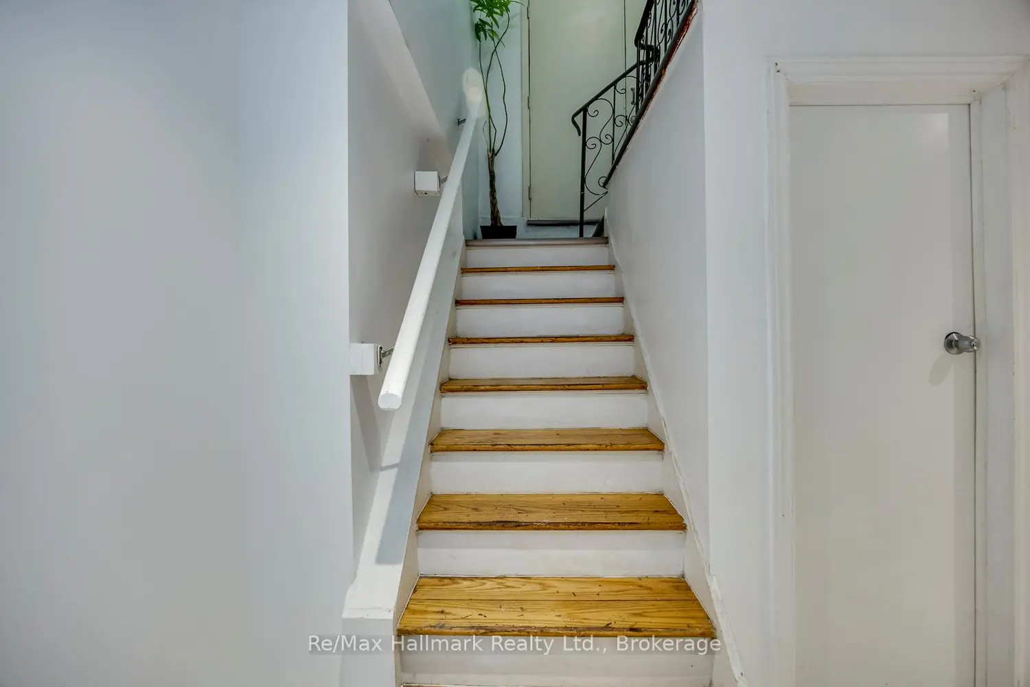 5371 Dundas Street photo 5