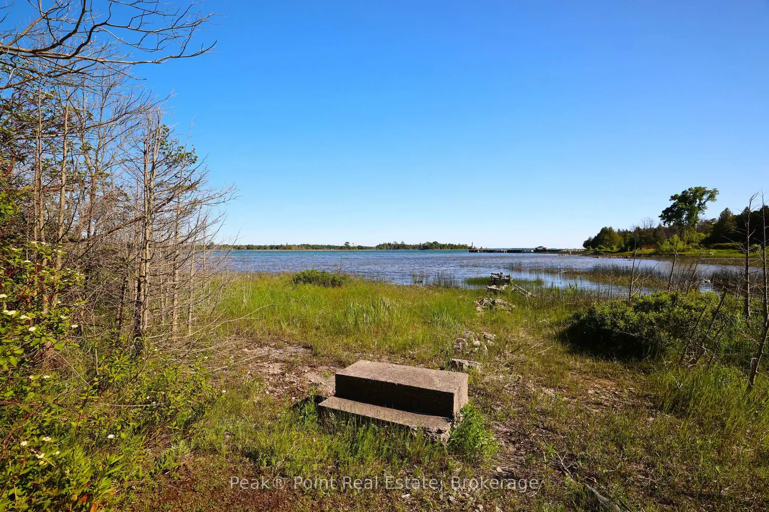 847 Howdenvale Road photo 4
