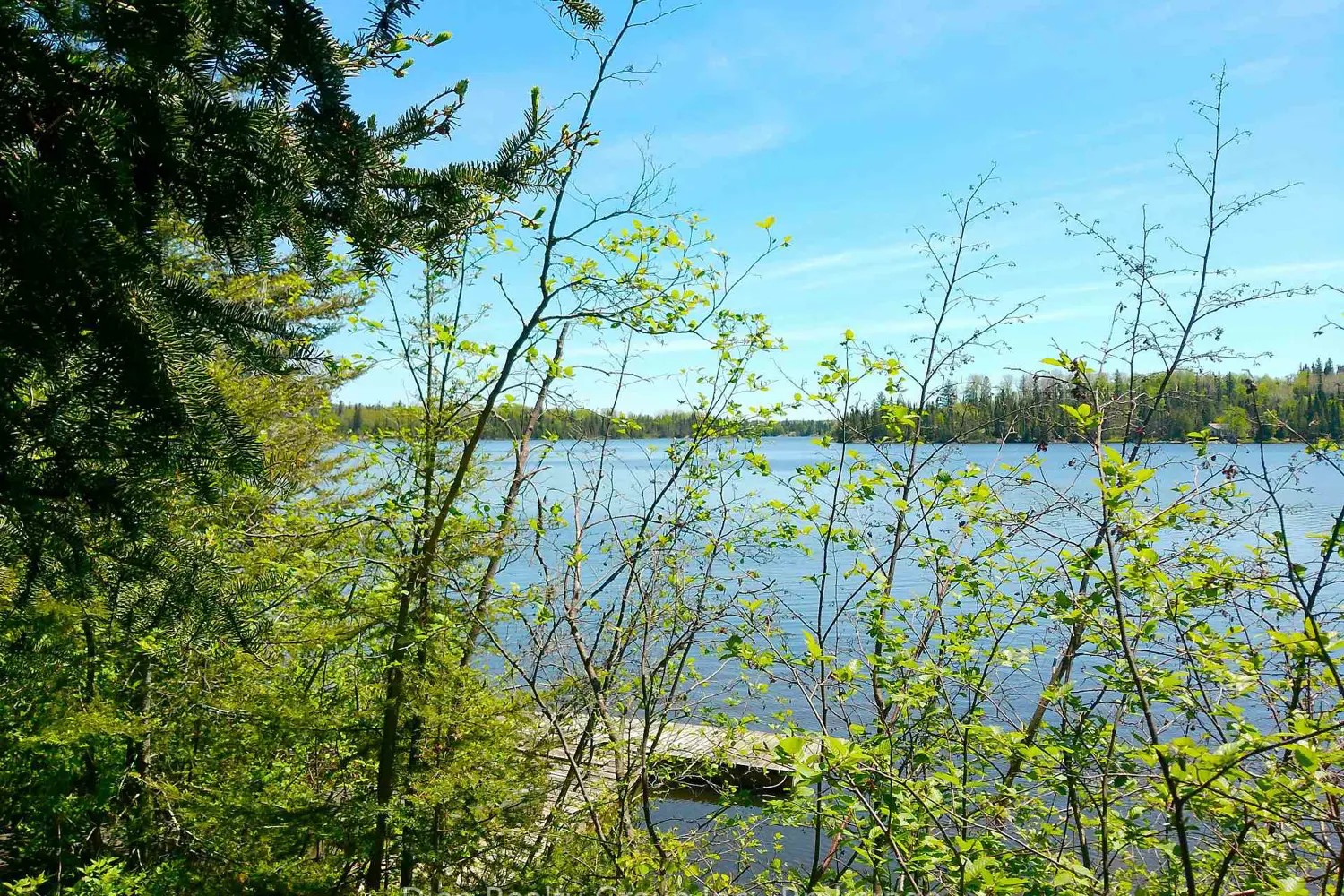 624 Shunsby Road photo 3