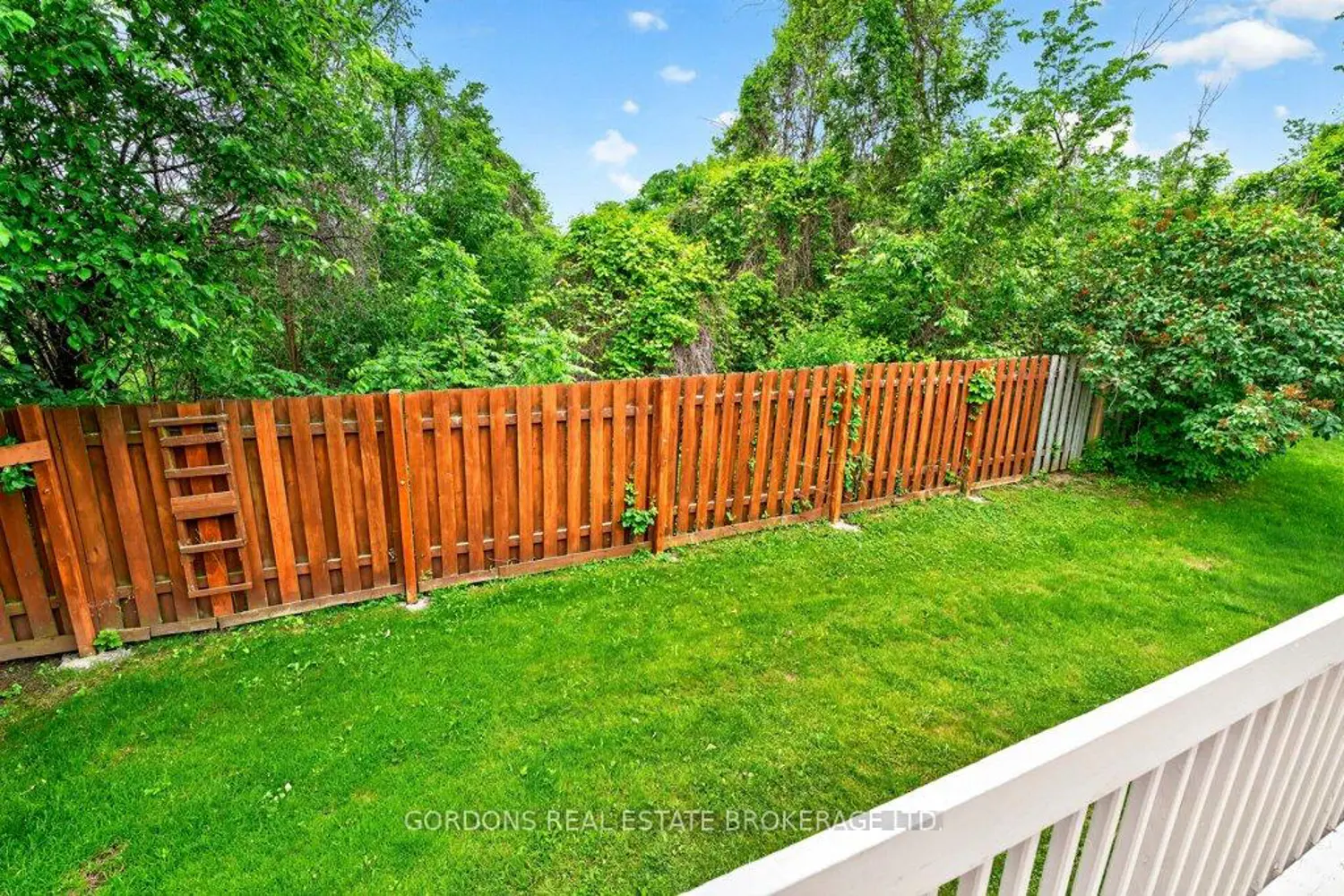 36 Wilmot Young Place photo 5