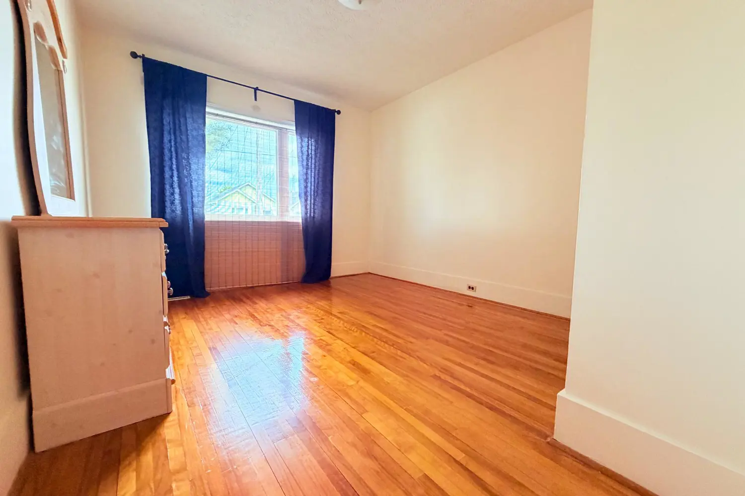 348 Birch Street photo 3