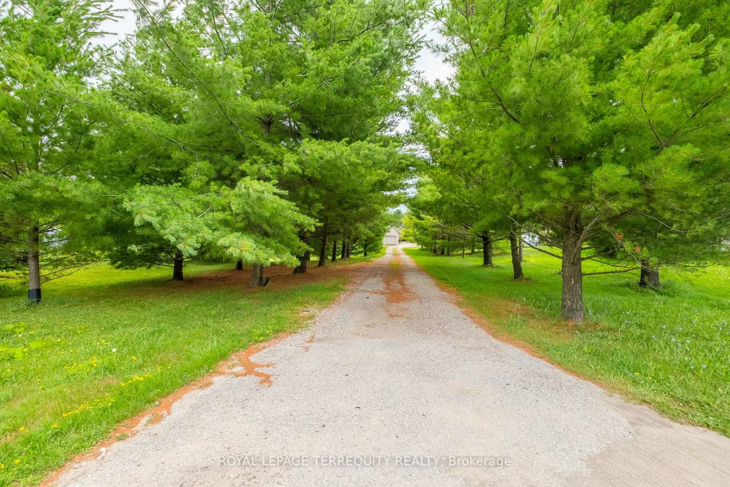 1041 15 Side Road photo 5