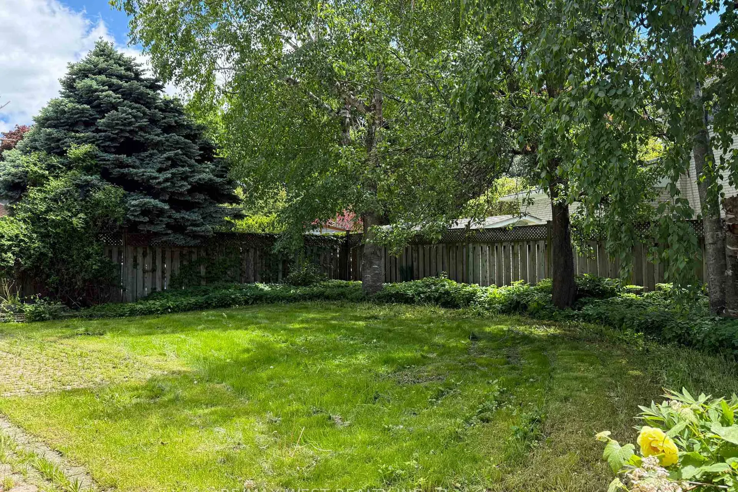 51 Winterton Drive photo 2