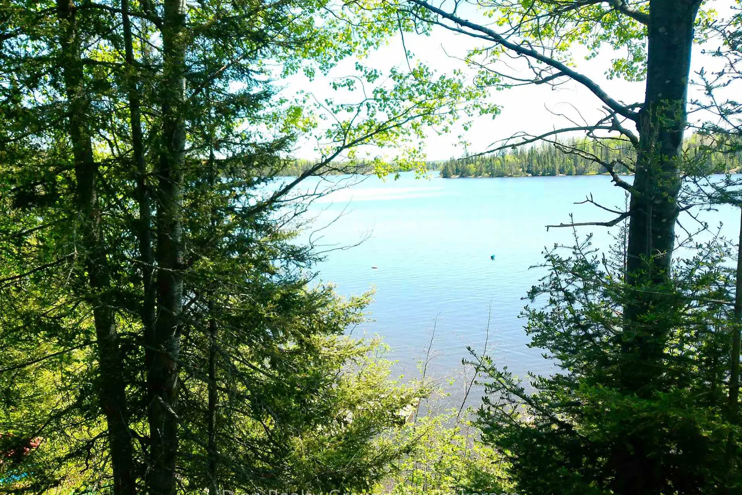 624 Shunsby Road photo 2