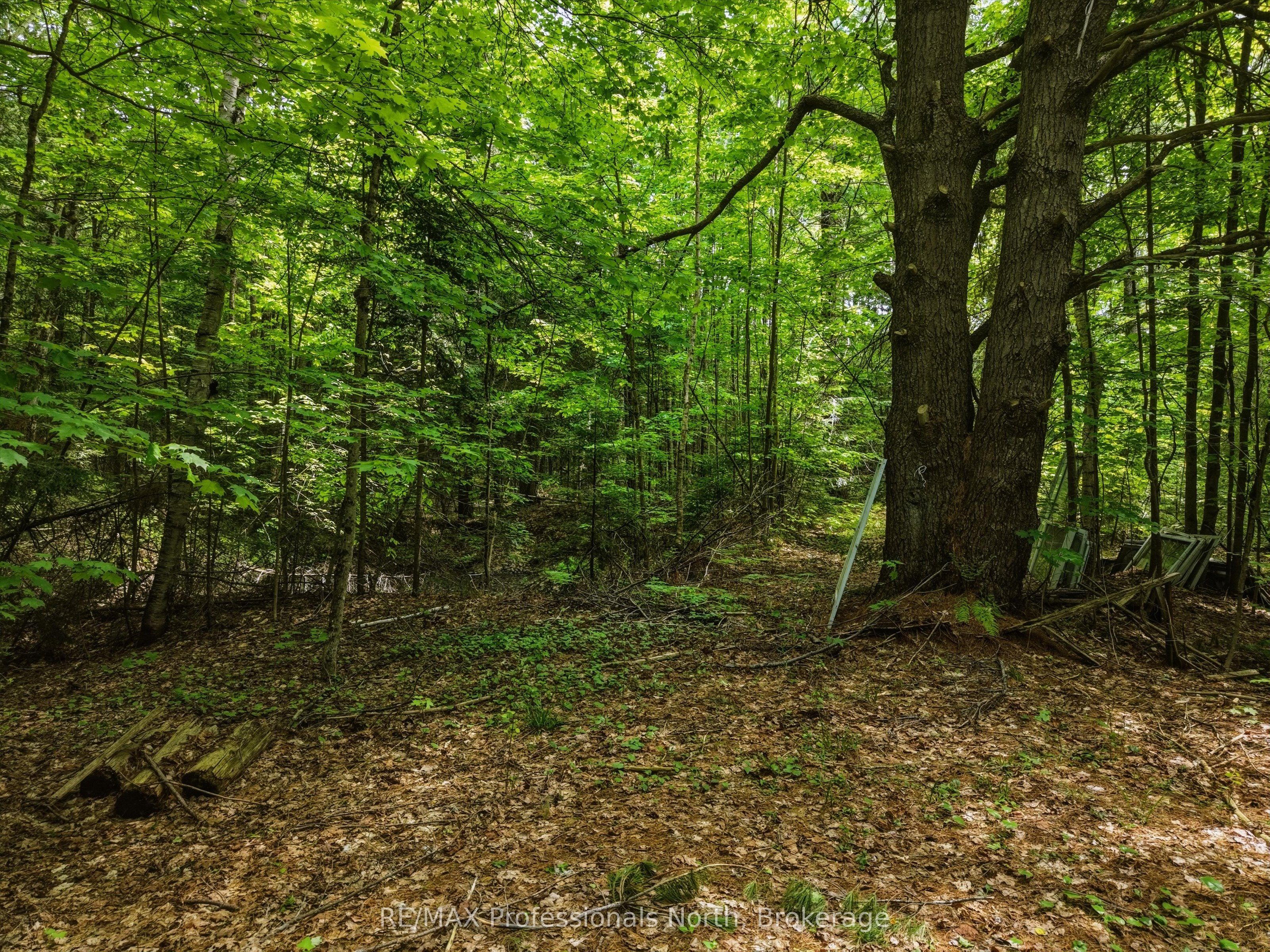 2445 Manitoba Street, Bracebridge, ON, P1L 1X4