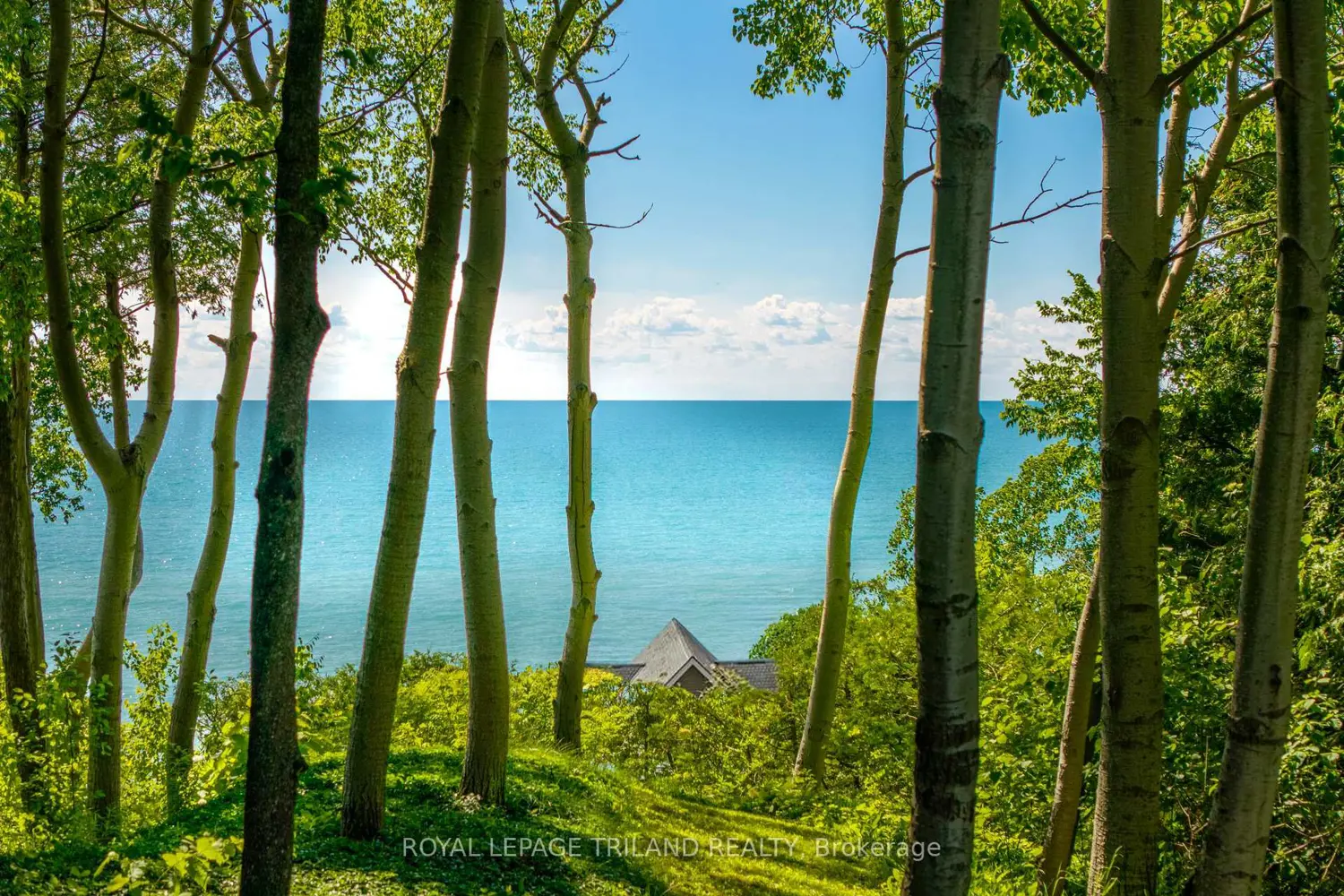 73437 Sandy Beach Road photo 3
