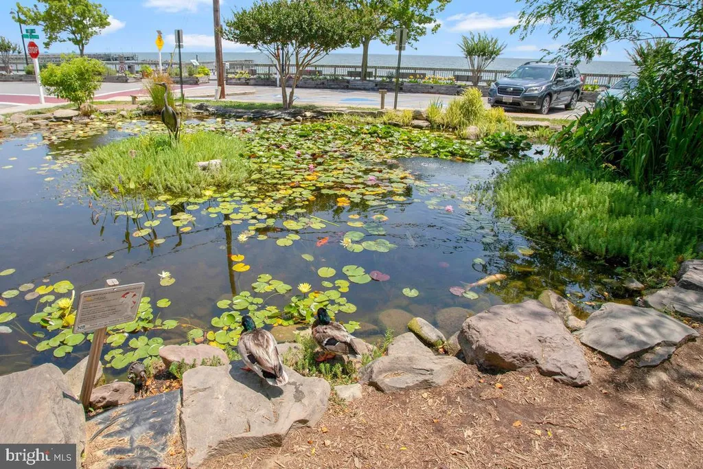 2310 Forest Ridge Terrace Unit 6, Chesapeake Beach, MD 20732