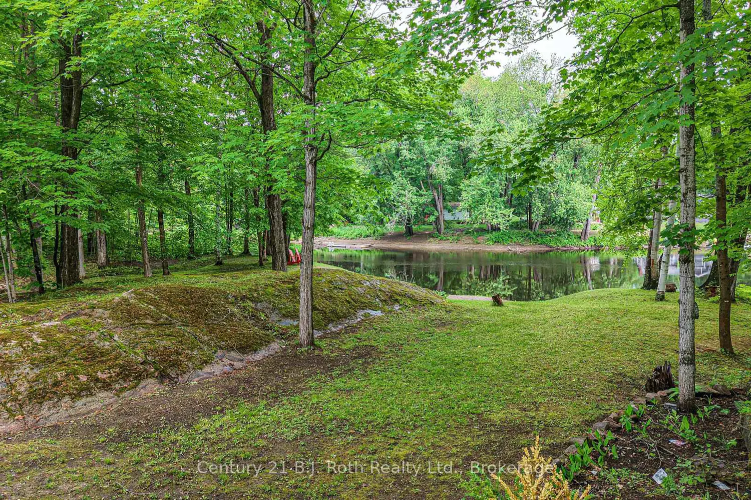 7463 Davy Drive photo 4