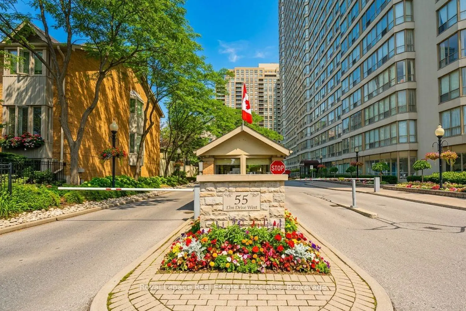 55 Elm Drive 511