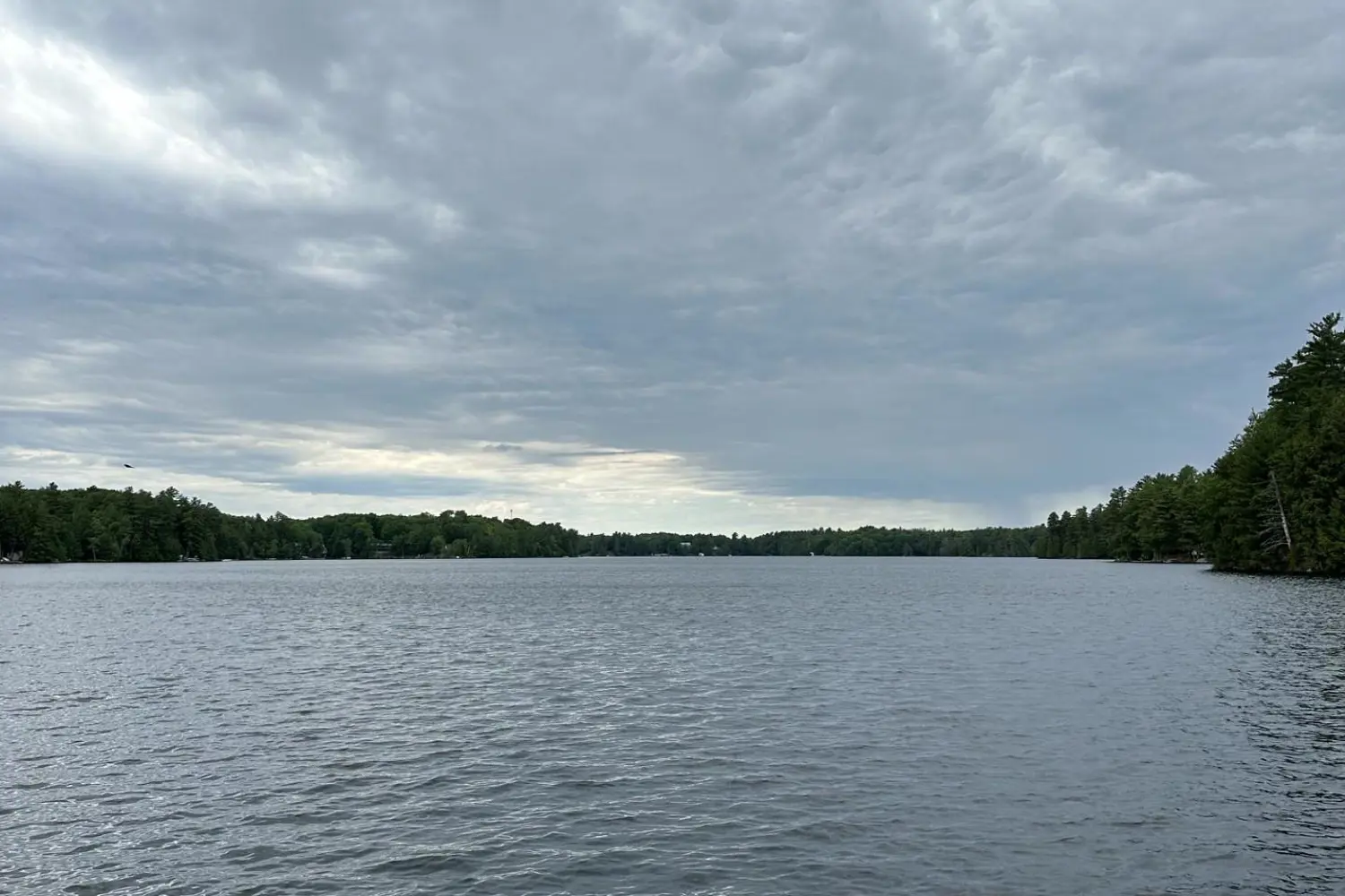 27246 Eagle Lake photo 3