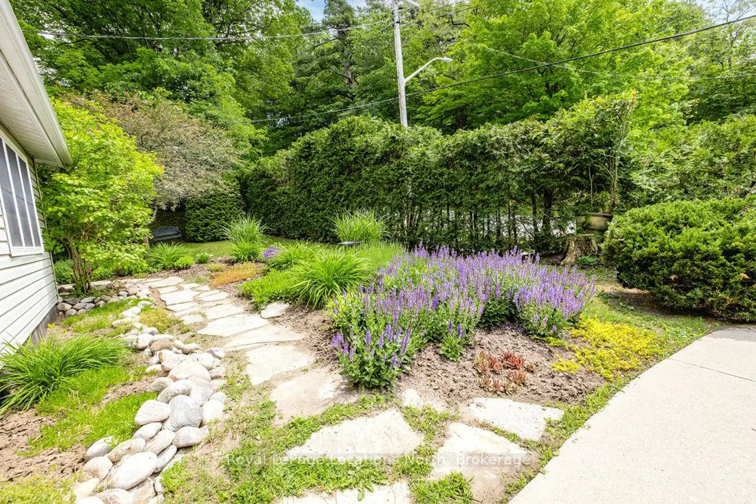 75 Burke Street photo 3